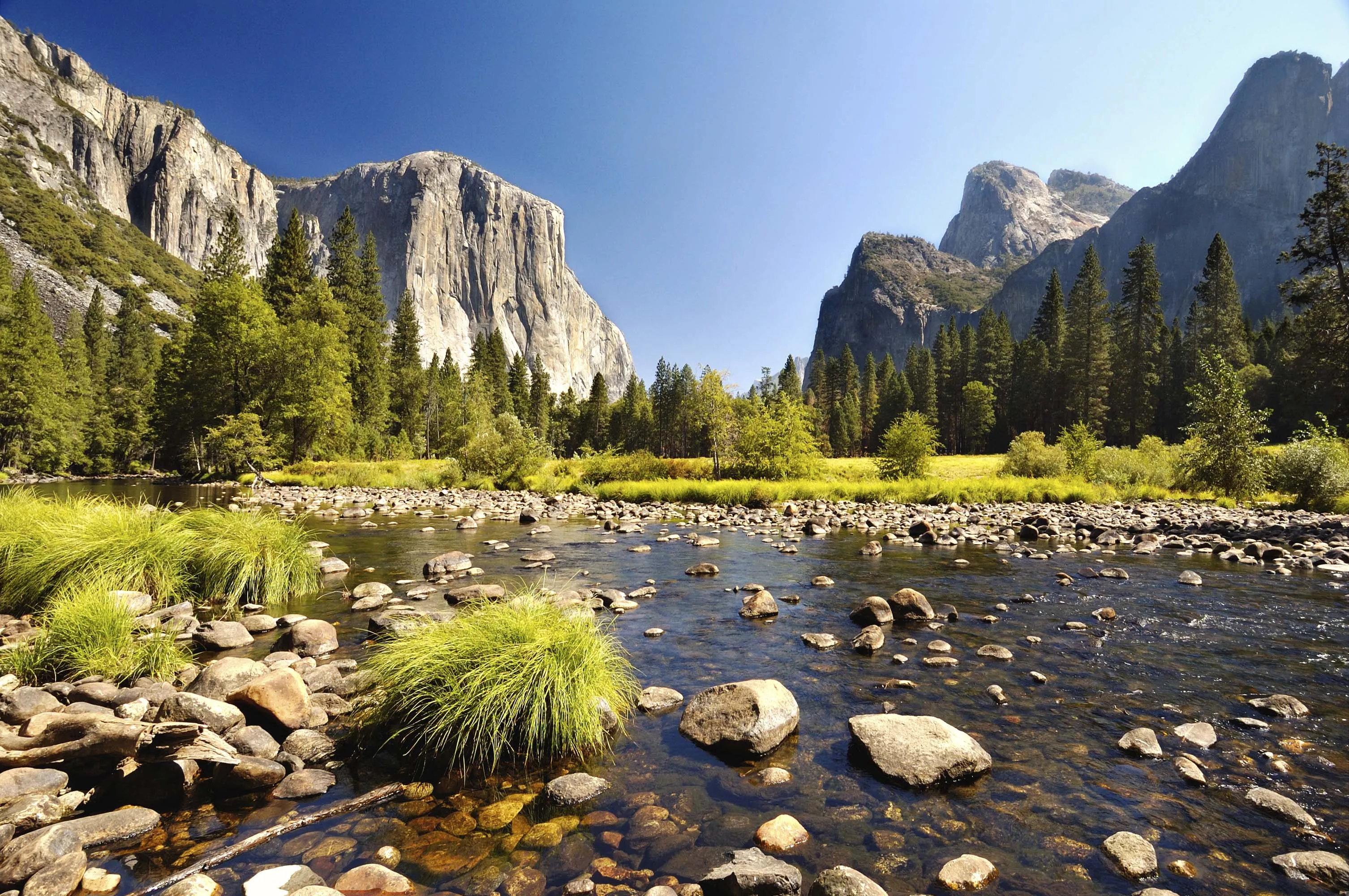 Le parc national de Yosemite ©iStockphoto.com/lucamoi 
