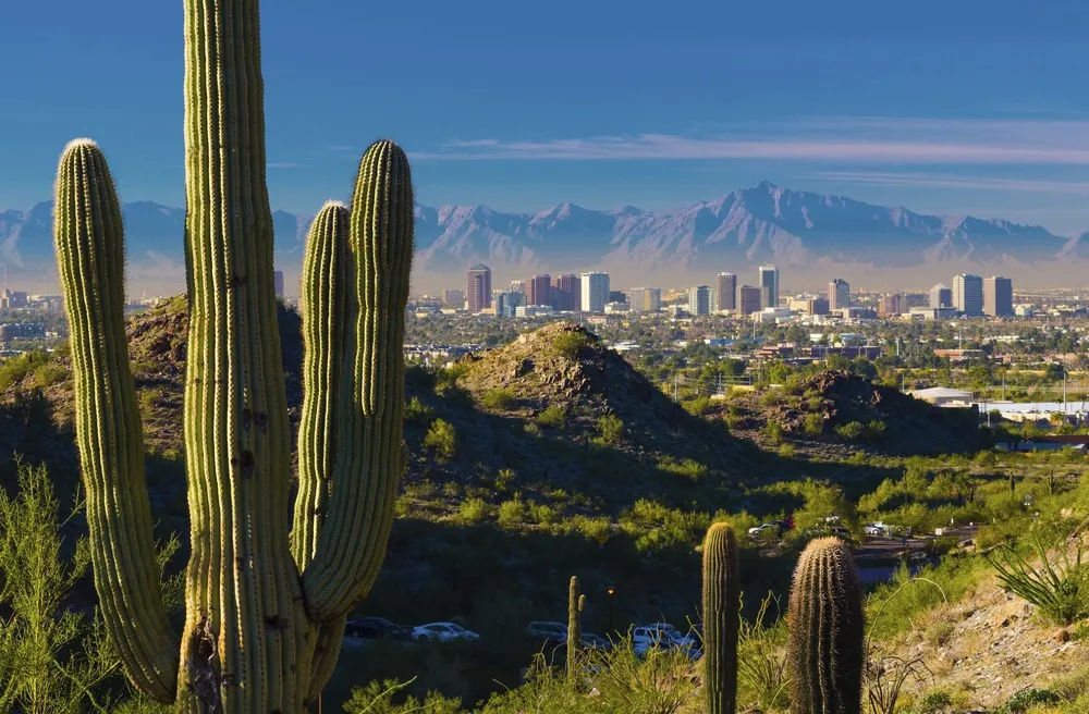 Phoenix | © iStockphoto.com/Davel5957