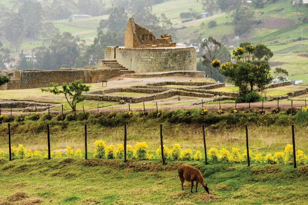 Les ruines d’Ingapirca.  | © iStockphoto.com/Villamilk