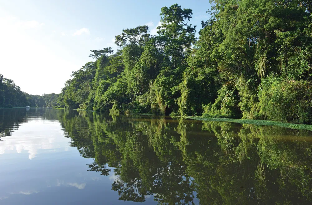 Le Parque Nacional Tortuguero © iStockphoto / andyKRAKOVSKI