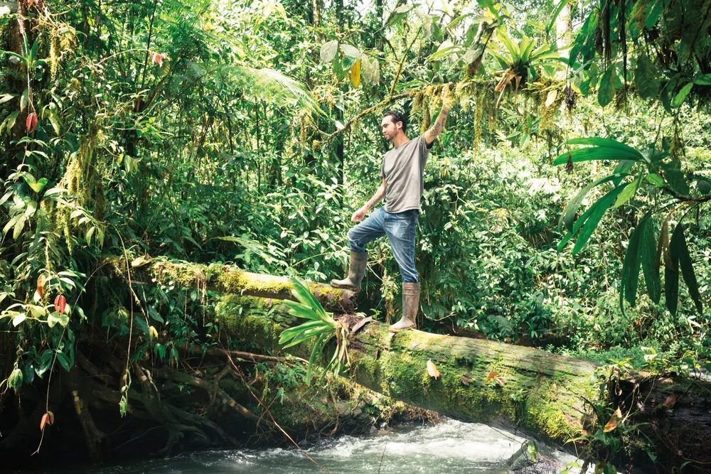 Observation de la faune.©iStockphoto/Lorraine Boogich