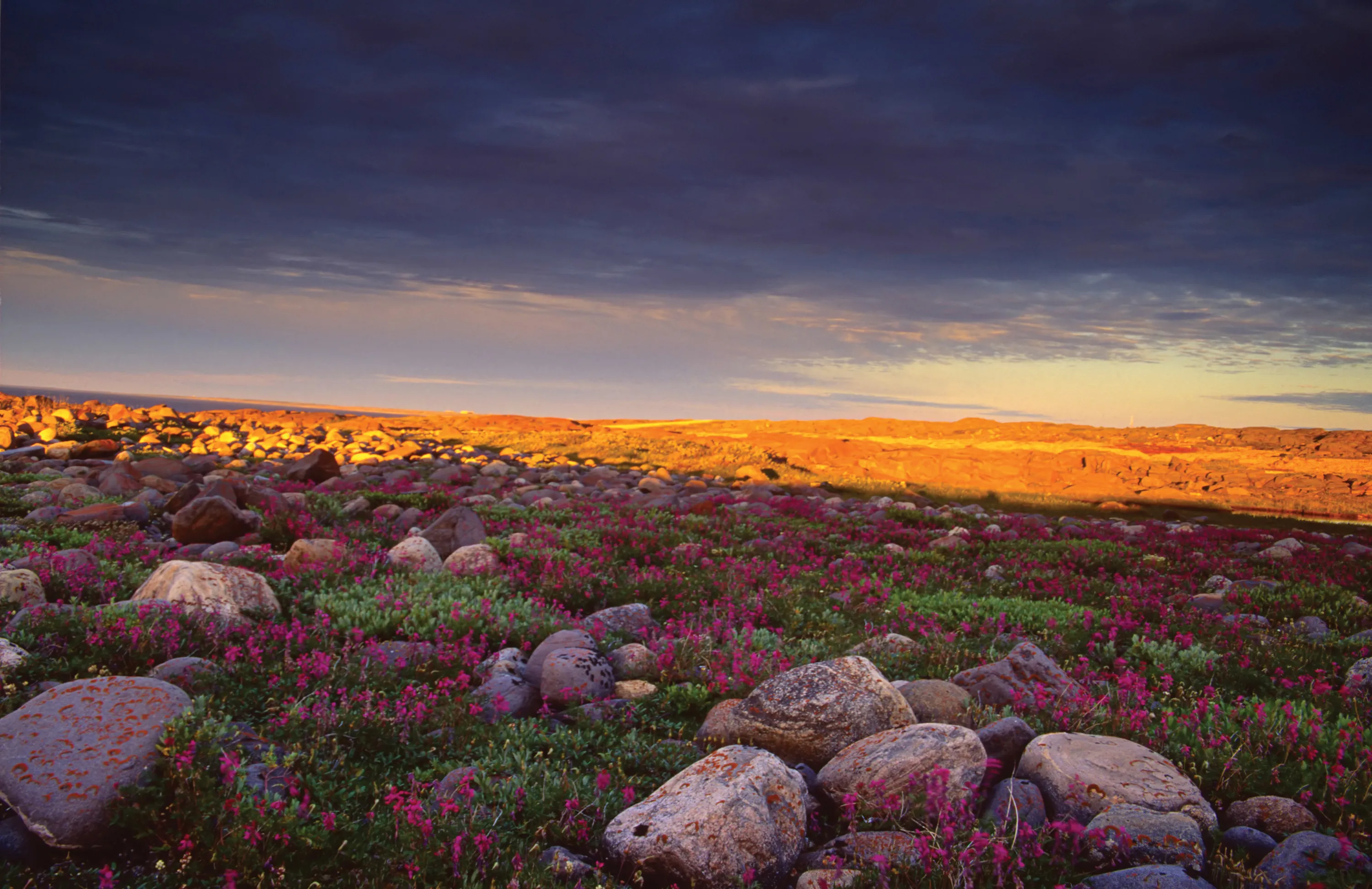 © iStockphoto.com/Trevor Bauer