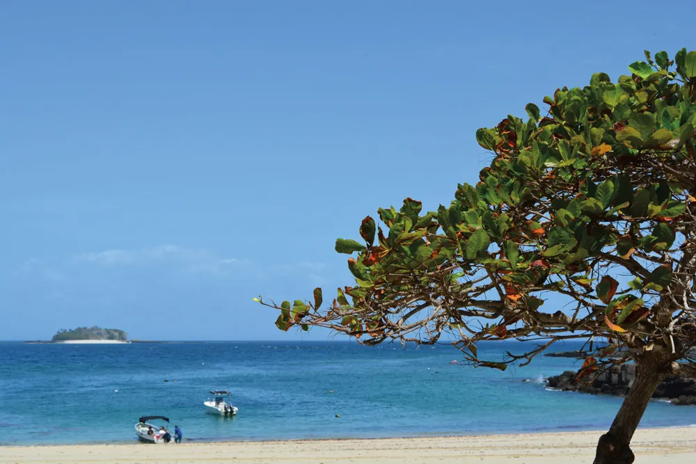 Des pangas à l’Isla Contadora. | © iStockphoto.com/Soniq88