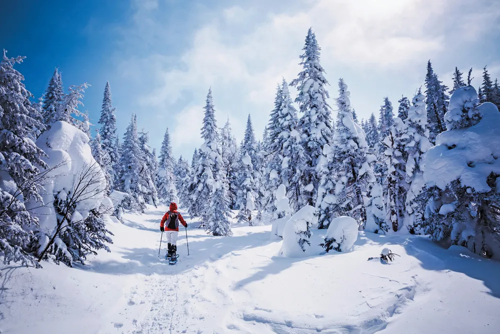 La randonnée en raquettes dans la neige poudreuse
Photo © iStockphoto - Onfokus