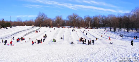 Parc du Mont-Royal