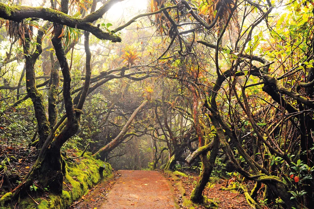 Le sentier Laguna Botos. 	©Shutterstock / Karin Wassmer