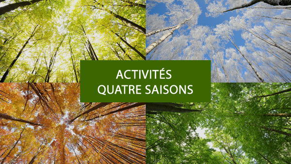 Guides de plein activités hivernales