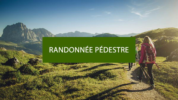 Guides de plein air : randonnée pédestre