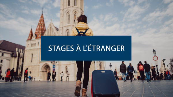 Stages à l'étranger